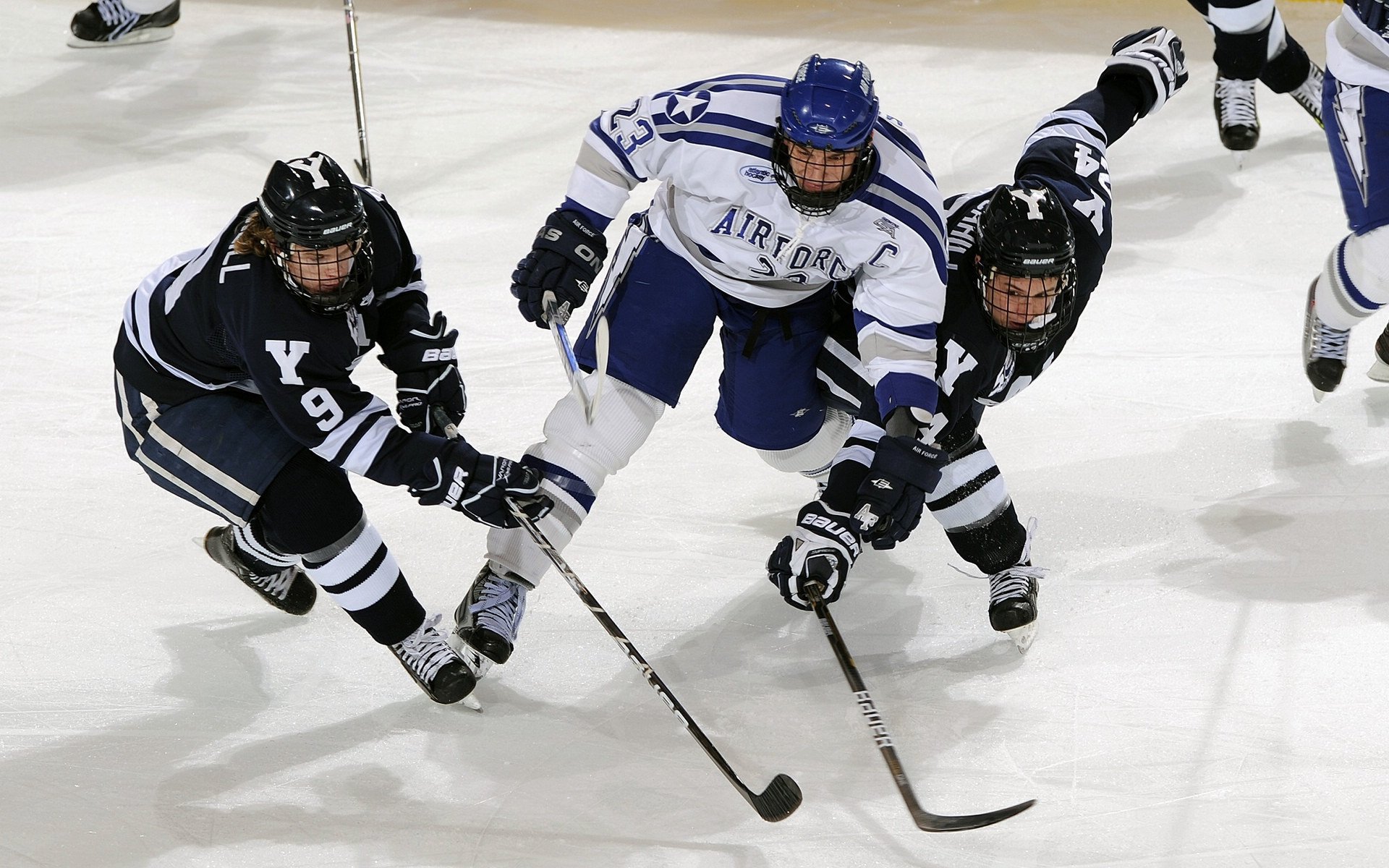米兰体育app官网-北京鸭持续输出进攻火力形成压倒性优势，北京鸭与其他鸭子的区别